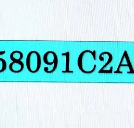 Dom wakacyjny Tom's House *